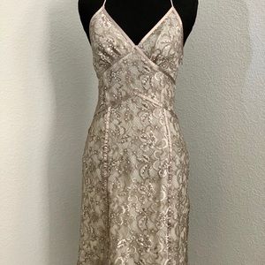 Express Sequin Lace Fancy Dress